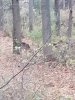 20231104_175405.jpg