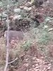 20231104_175550.jpg