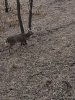 IMG_1334.jpeg