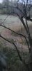 20231104_180755.jpg