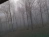 20231105_071335.jpg