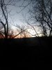 IMG_20231105_062637.jpg