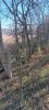 20231105_094233.jpg