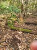 20231105_112512.jpeg