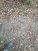 20231105_150131.jpg
