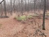 20231106_065651.jpg