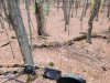 20231106_065642.jpg