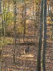 Image1699277577.456955.jpg