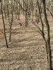 IMG_1345.jpeg