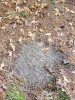 20231106_105330.jpeg