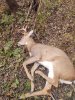 IMG_20231106_110423836.jpg