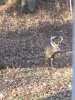 D59365C6-3C95-48D4-B800-3ECCB04CA87B.jpeg
