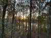 Image1699363231.864665.jpg