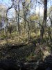 IMG_20231107_140806.jpg