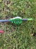 IMG_2561.jpeg