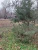 20231107_162235.jpg