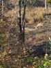 Image1699439262.859262.jpg