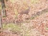 20231110_072946.jpg