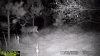 upload_2023-11-10_8-2-26.gif