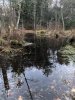 IMG_1091.jpeg