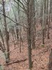 IMG_1093.jpeg