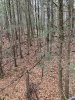 IMG_1094.jpeg
