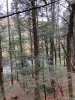 IMG_1095.jpeg