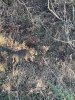 IMG_5481.jpeg