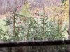20231111_145446.jpg