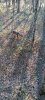 20231112_095427.jpg