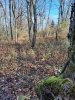 20231112_151951.jpg