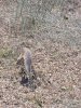 20231112_065527.jpg
