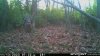 IMG_5548.jpeg