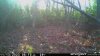 IMG_5550.jpeg