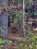 20231113_144958.jpeg