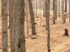 20231113_152114.jpg