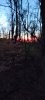 20231114_065947.jpg