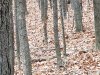 20231114_073910.jpg