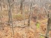 20231114_145243.jpg