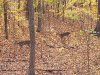 20231114_151633.jpeg