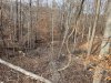 IMG_0835.jpeg