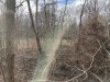 IMG_0836.jpeg