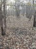 20231114_092420.jpg