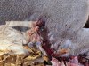IMG_0840.jpeg