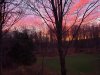 20231115_165926.jpg
