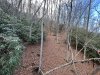 IMG_0015.jpeg
