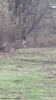 upload_2023-11-15_19-1-54.gif