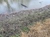 20231116_124846.jpg