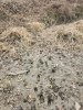 20231116_141746.jpg