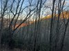 IMG_0025.jpeg